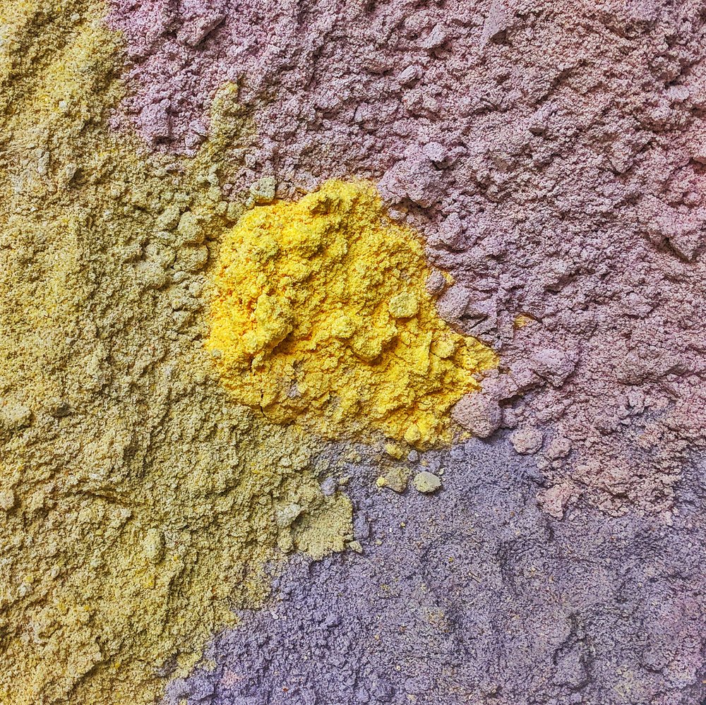 Heirloom corn varietals