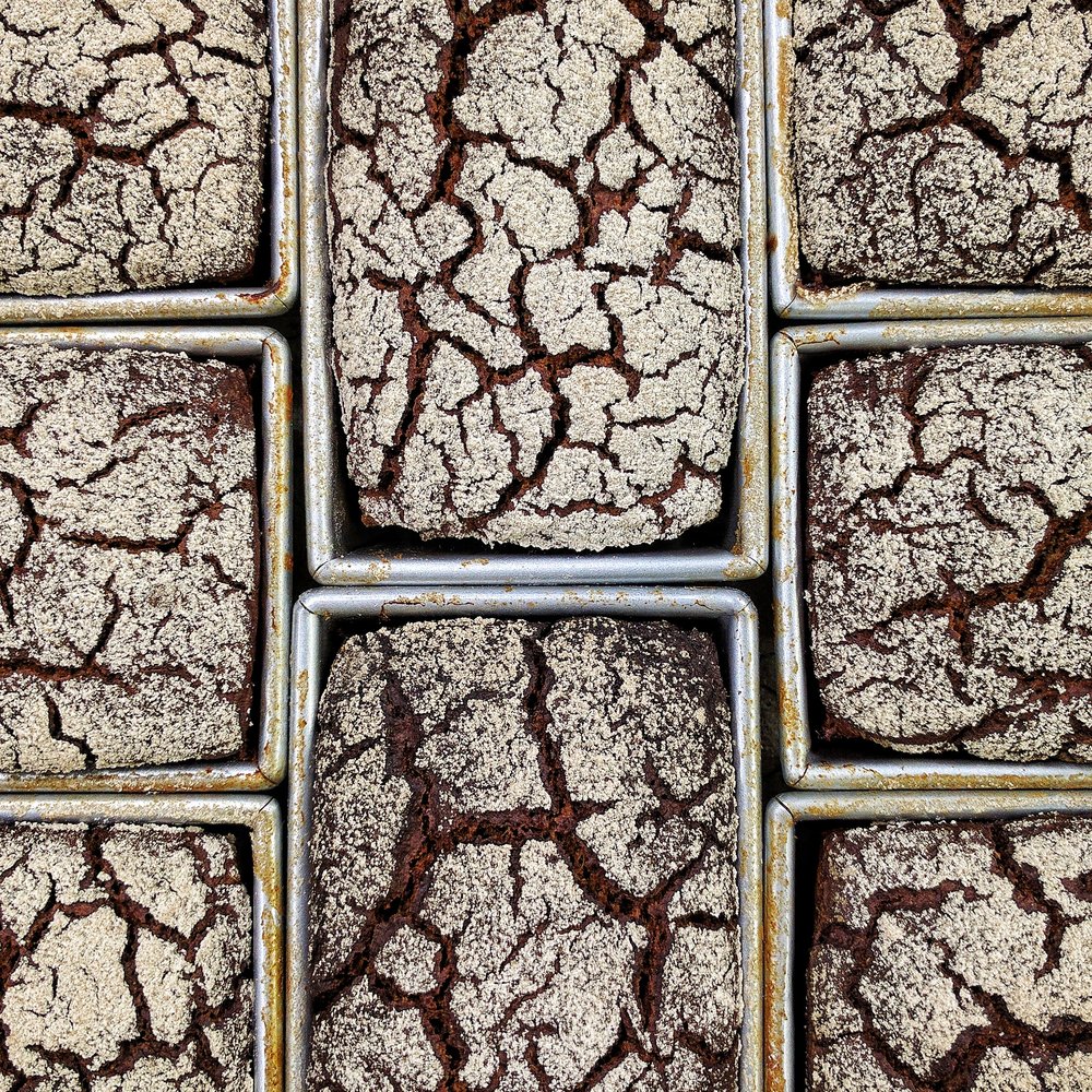 Rye w/ dill seed + Jester King spent grains